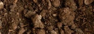 Caminhão descarregando terra para aterro em obra de terraplenagem